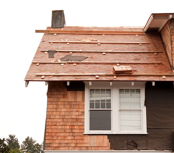 Best Storm Damage Siding Repair  in Keenesburg, CO